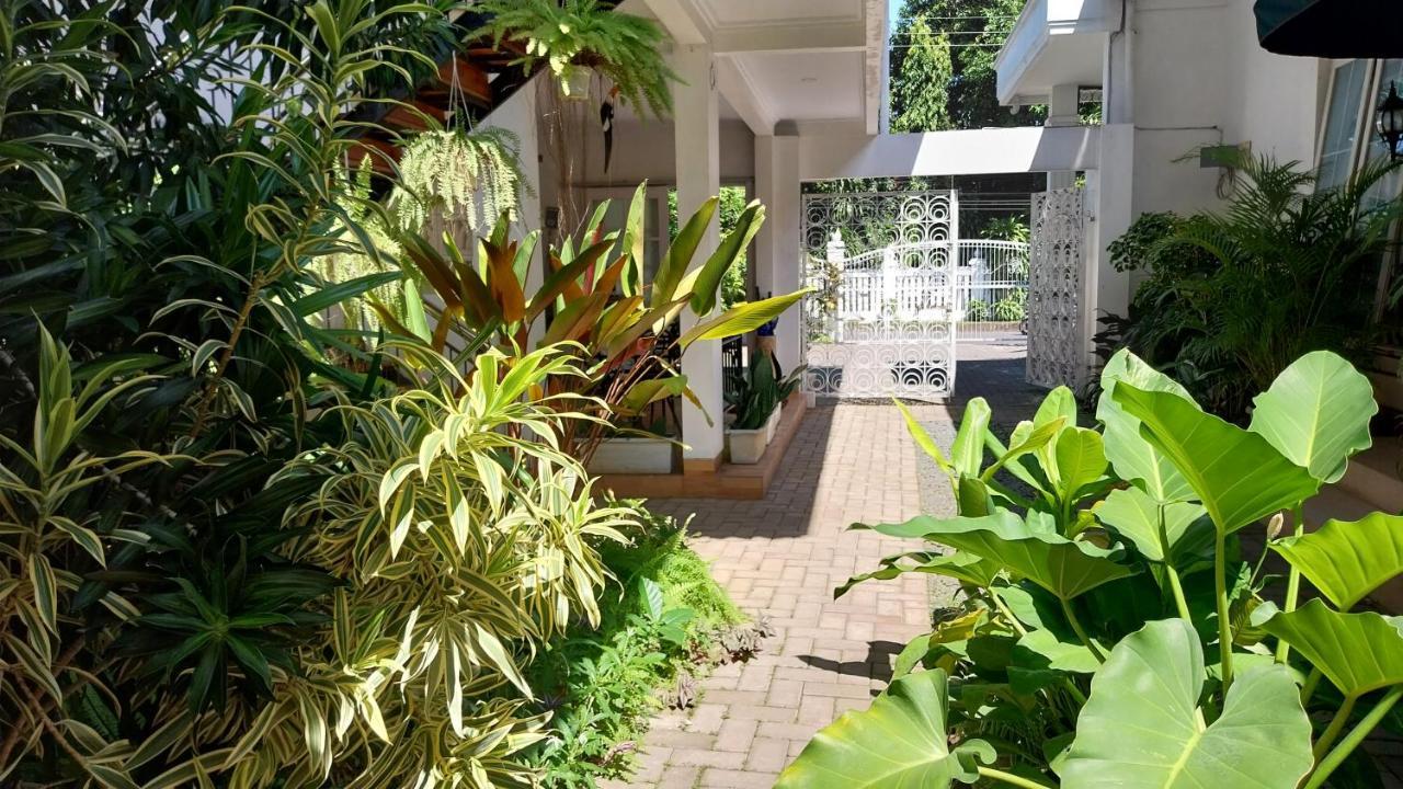 Hotel Surokarsan 9 House Yogyakarta Exteriér fotografie